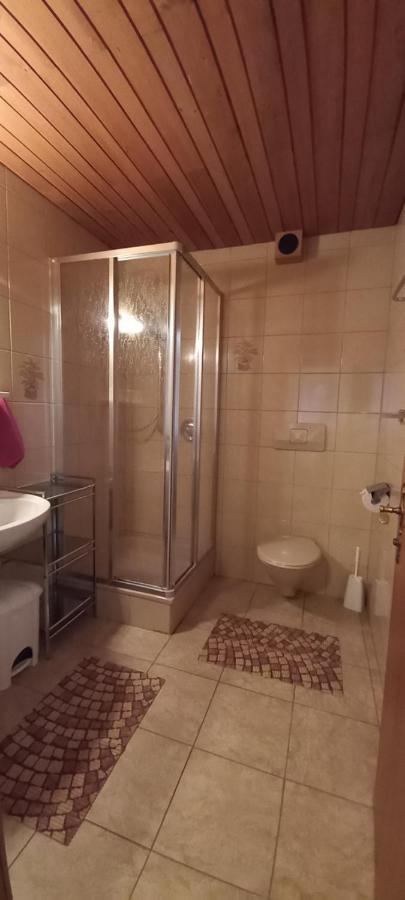 Studio Hochzillertal Mit Sauna & E-Ladestation Apartman Ried im Zillertal Kültér fotó