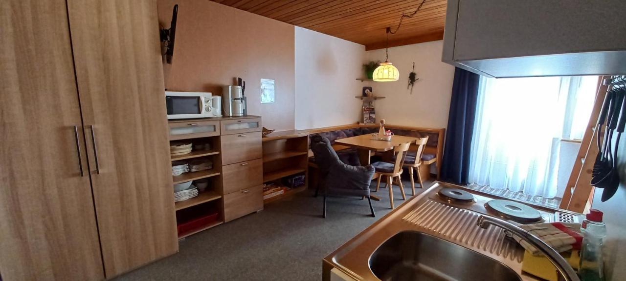 Studio Hochzillertal Mit Sauna & E-Ladestation Apartman Ried im Zillertal Kültér fotó